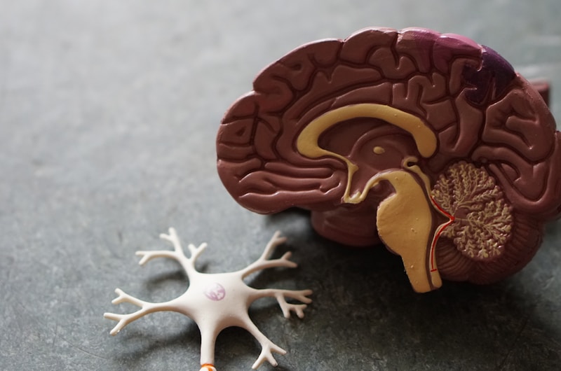 Lichaamsdysmorfie en OCD als misdiagnose voor genderdysforie: een onderschat probleem